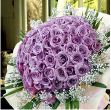Lavender Love - 36 Stems In Bouquet